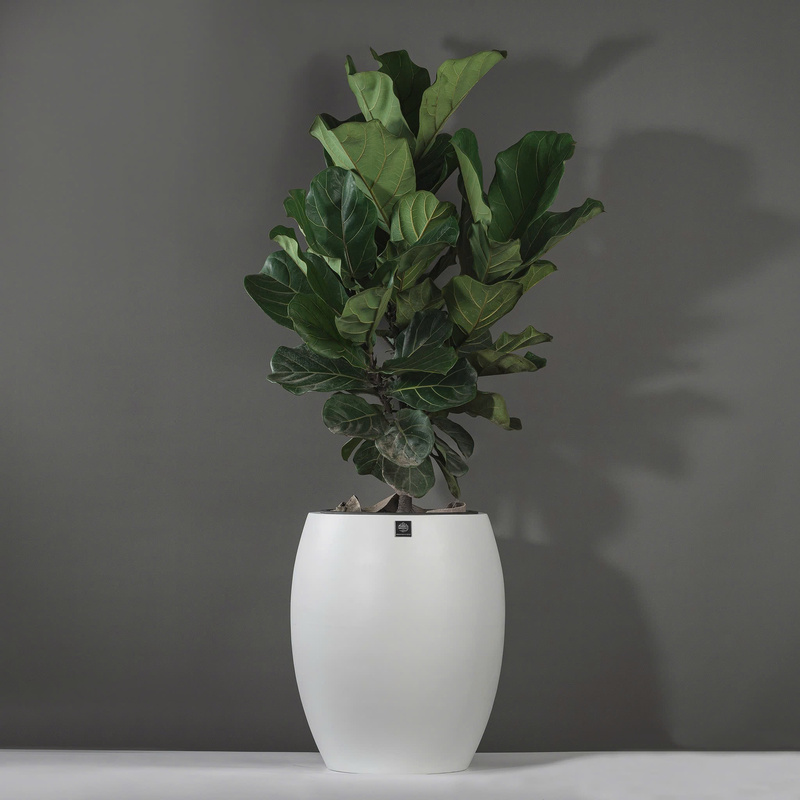 Chậu Composite tròn - Chậu Composite Kingpot -  Công Ty Cổ Phần Kingpot Việt Nam